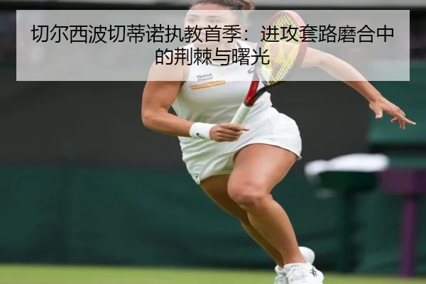 切尔西波切蒂诺执教首季：进攻套路磨合中的荆棘与曙光