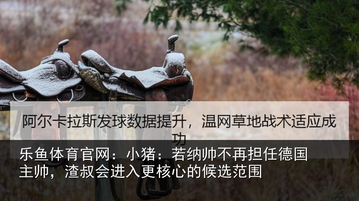 乐鱼体育官网：小猪：若纳帅不再担任德国主帅，渣叔会进入更核心的候选范围
