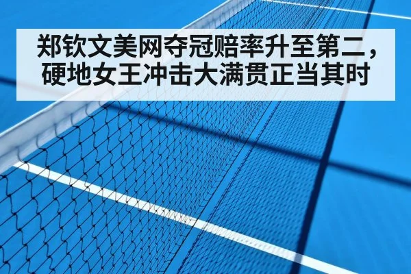 hard court tennis match
